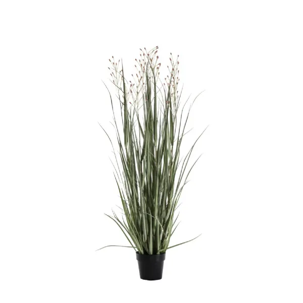 Potted Grass w 7 Heads Green Russet 1300mm