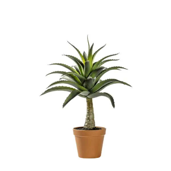 Potted Agave 430x430x570mm