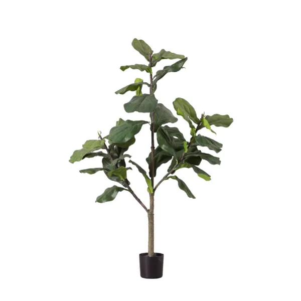Fiddle Tree w 39 Leaves 580x580x1200mm