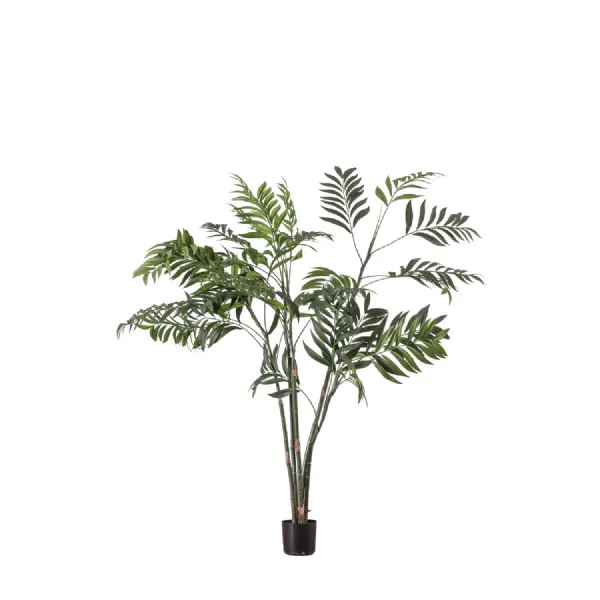 Areca Palm Tree Small 710x710x910mm
