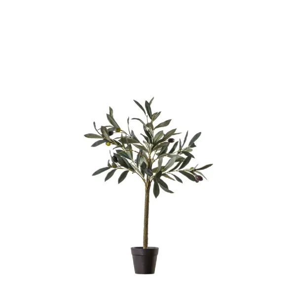 Olive Tree Small 220x220x600mm