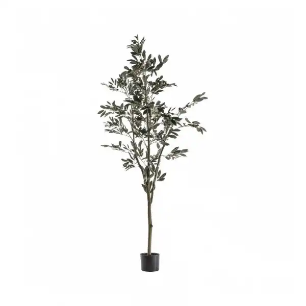 Tree Large