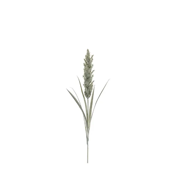 Pampas Spray Ivory 1220mm