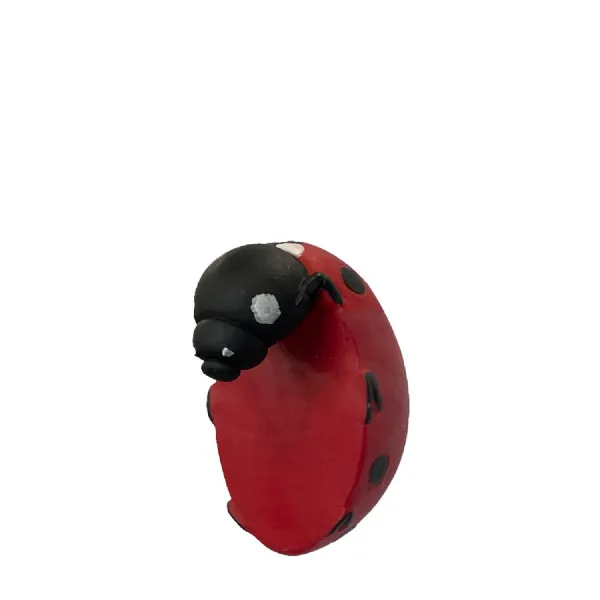 Eve Ladybird Pot Hanger (2pk)