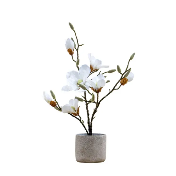 Potted Magnolia (real touch) White H600mm