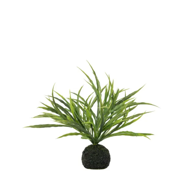 Wild Grass in Soil Green H300mm