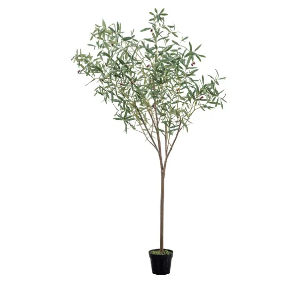 Olive Tree Large Green H2020mm