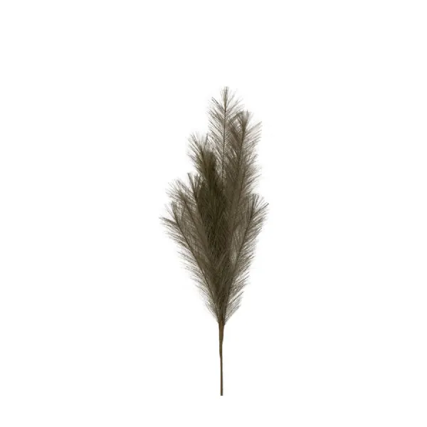Feathered Spray Khaki (6pk) L700mm