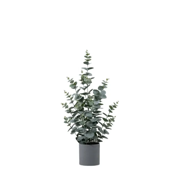 Potted Eucalyptus Bush Green H680mm