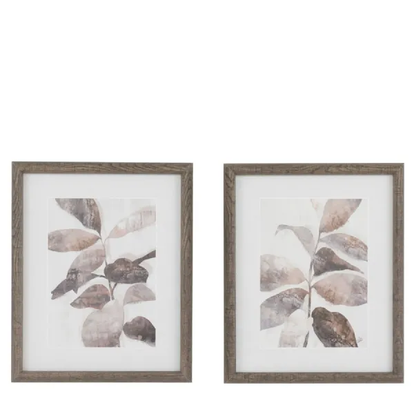 Natures Rhythm Framed Art Set of 2