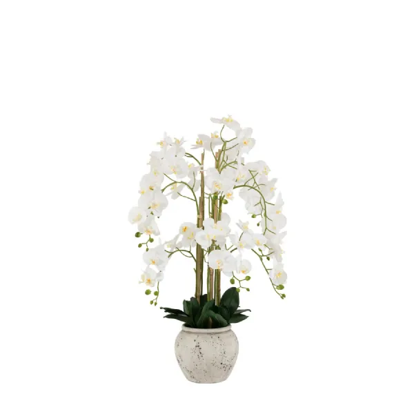 Real Touch White Orchid In Cement Style Pot