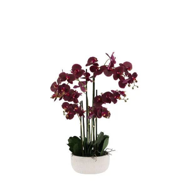 Real Touch Plum Orchid In Ceramic Ridged Pot
