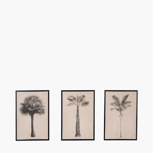 S 3 Natural and Black Palm Tree Print Canvases with Black Frames
