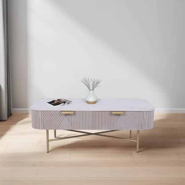 Modern Mango Wood 2 Drawer Rectangular Coffee Table with Marble Top