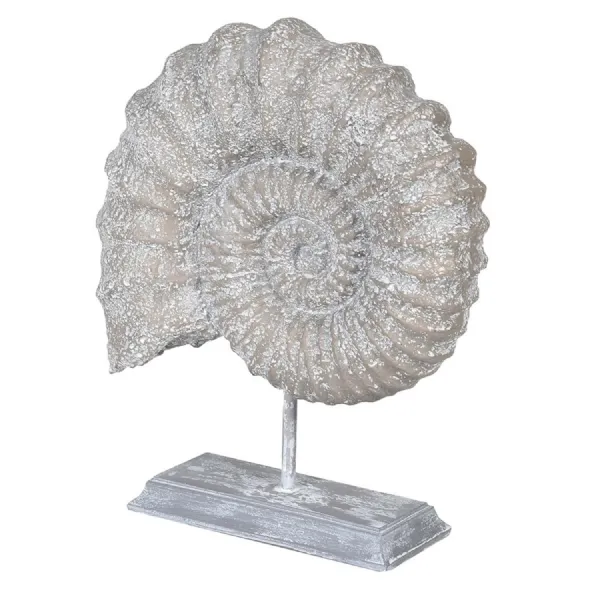 Faux Ammonite Fossil On Stand