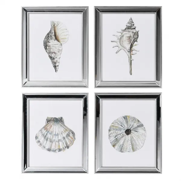 Set 4 Shell Prints