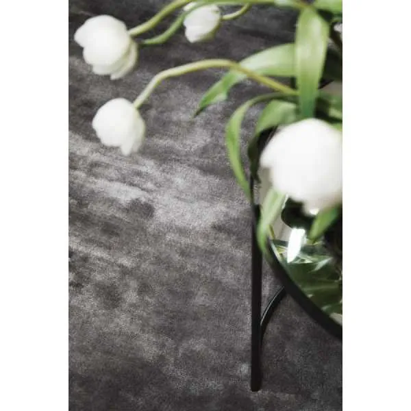 Rug Guru Karma Fossil 200x300