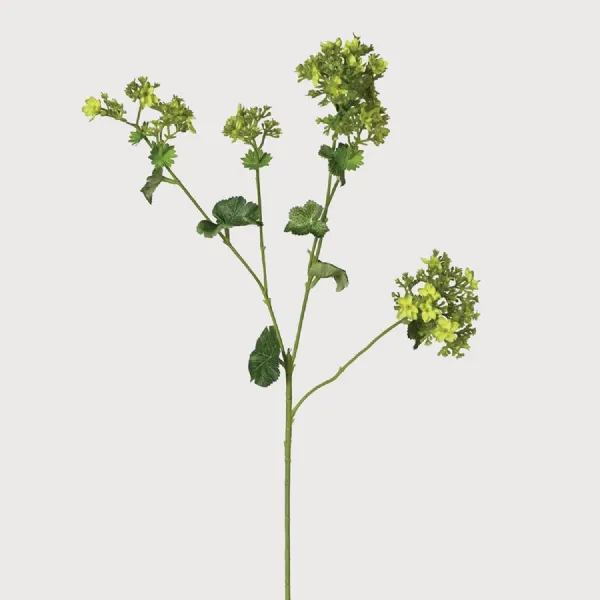 Lady's Mantle Spray with Leaves