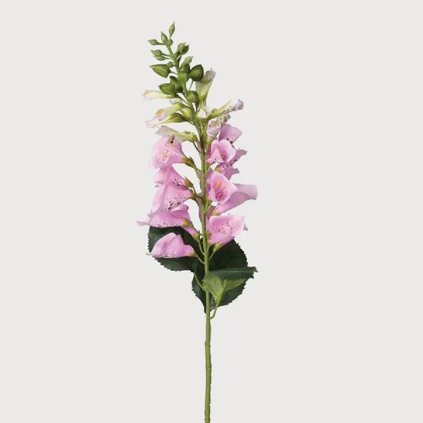 Pink Foxglove Spray with Leaves