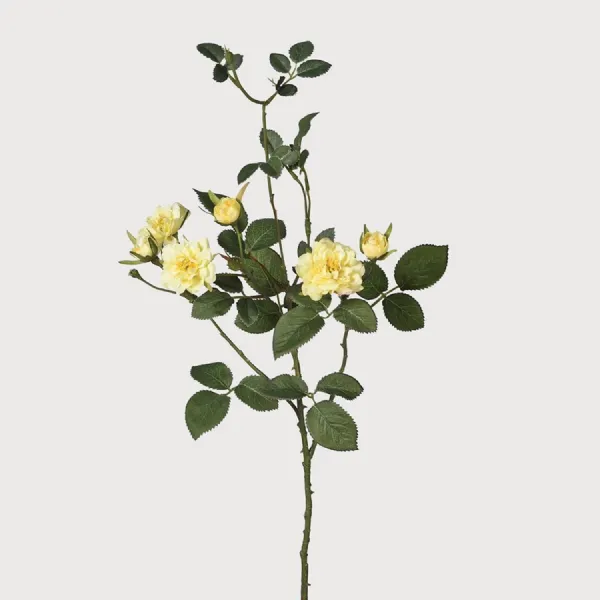 Wild Yellow Rose Spray with Leaves