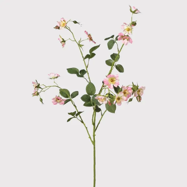 Wild Pink Rose Spray with Leaves