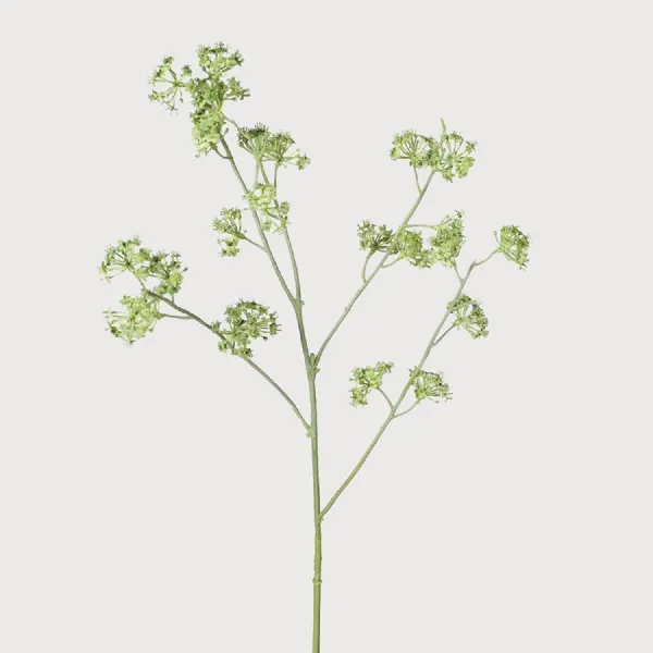 Green Sea Kale Spray