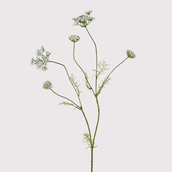 White Meadowsweet Spray