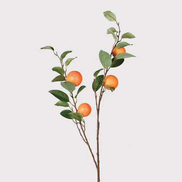 Orange Spray with Leaves
