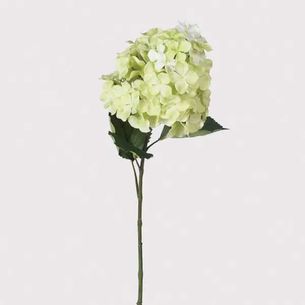 Green Paniculata Greenspire Hydrangea Spray with Leaves