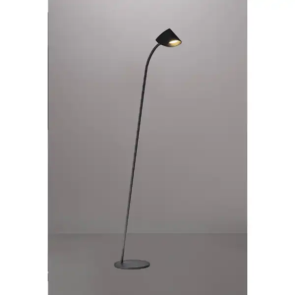 Capuccina 1 Light Floor Lamp, 8.5W LED, 3000K, 600lm, Black, 3yrs Warranty