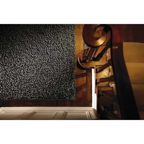 Rug Guru Maine Fossil 200x300