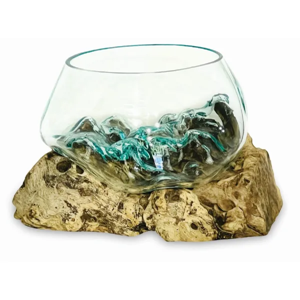Root With Glass Fruit Bowl Small