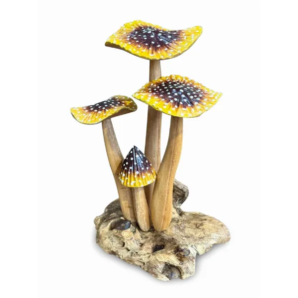 Yellow Blusher 4 X Mushrooms 20 22cm