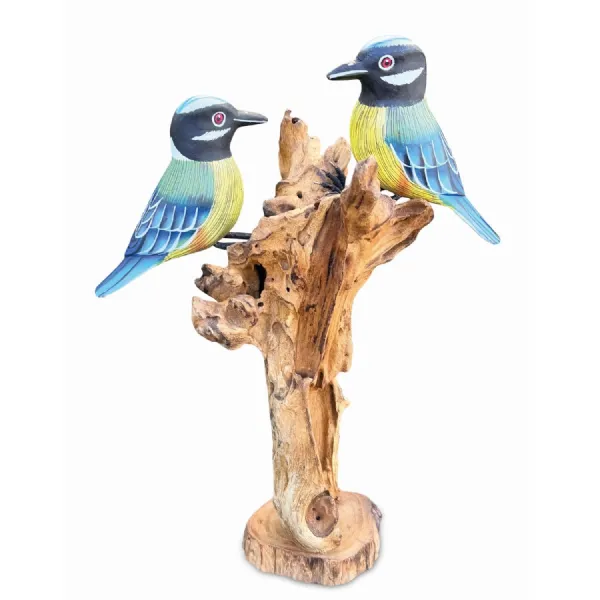 Double Blue Tit Foraging