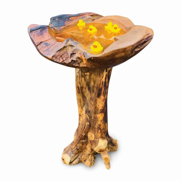 Hand Crafted Giant Bird Bath with Pedestal Root Base