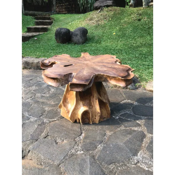 Natural Teak Wooden Coffee Table with Pedestal Root Base