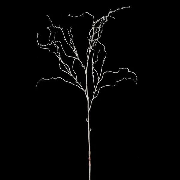 Cream Willow Spray