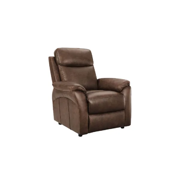 Brown Leather Upholstered Armchair Padded Armrests