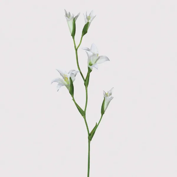 White Gladiolus Spray