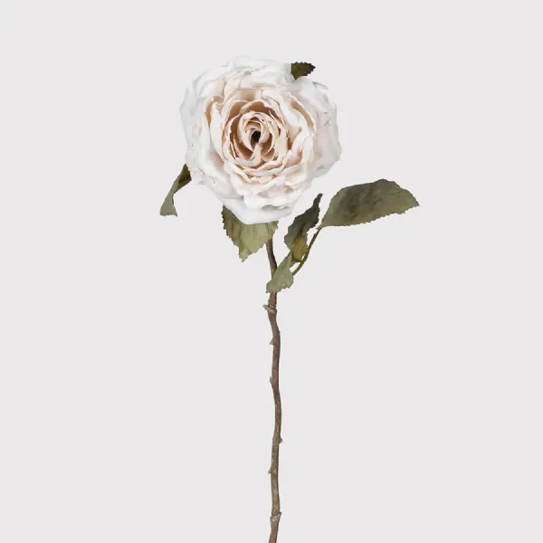 Baby Pink Rose Spray with Leaves