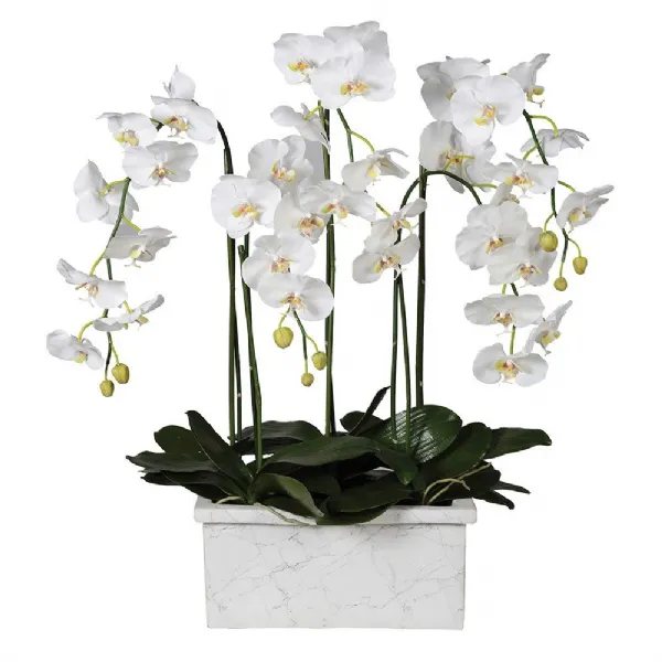 White Orchid Phalaenopsis Plant In Marble Look Planter