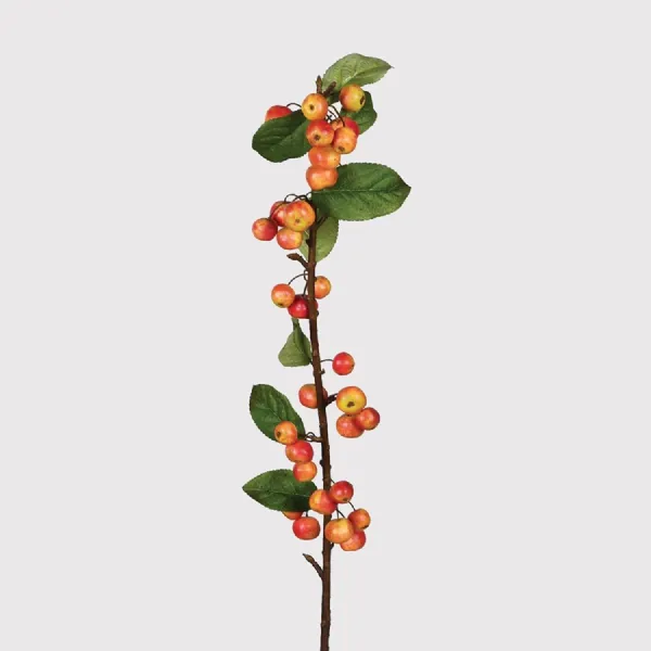 Orange Crab Apple Spray with Leaves