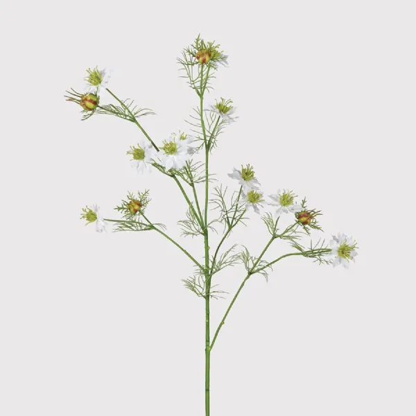 White Nigella 'Love in a Mist' Spray