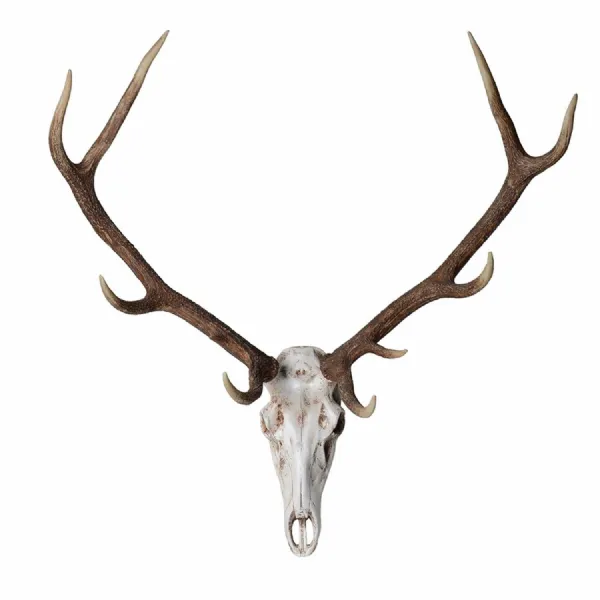 Deer Head Wall Mount
