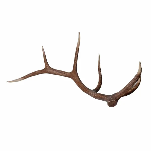 Natural Antler Deco