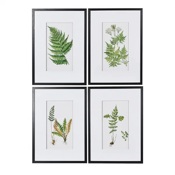 Set Of 4 Fern Floral Pictures