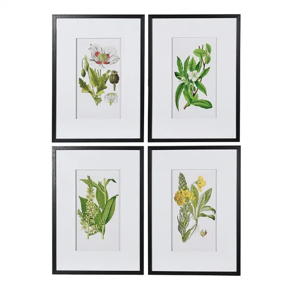 Set Of 4 Garden Floral Pictures
