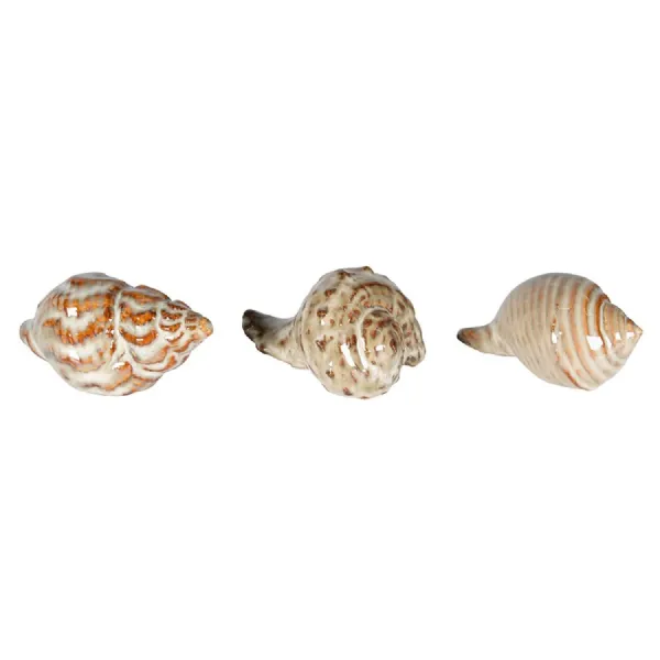 Set of 3 Seashells