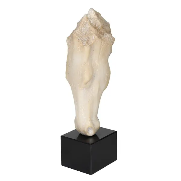 Cream Horse Head On Plinth