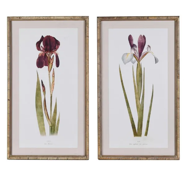 Set of 2 Iris Wall Art